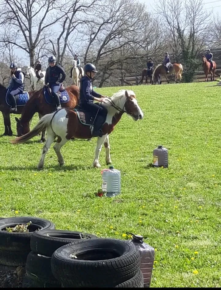 Stage TREC spéciale PTV