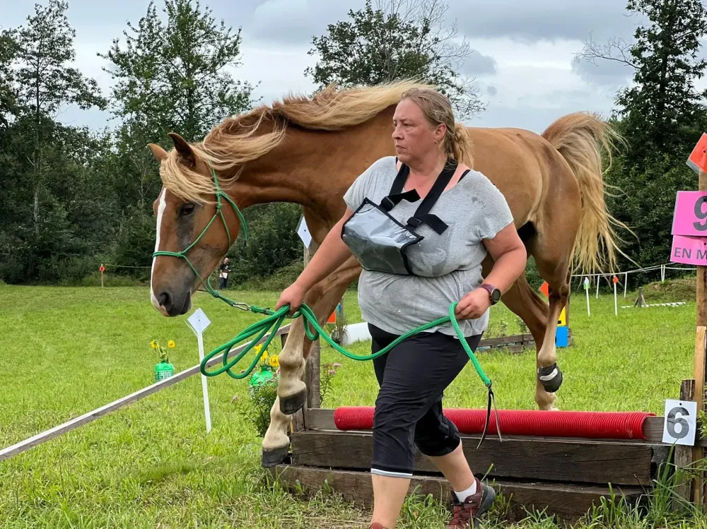 Spéciale tout en main