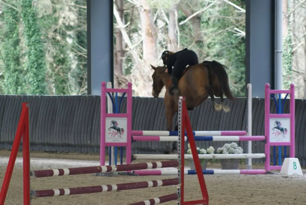 Un Hunter coloré malgré la pluie !