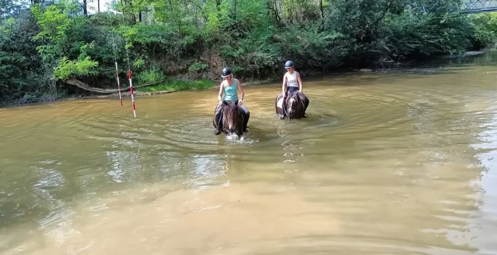 balade à chevalwebp